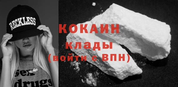 2c-b Тайга