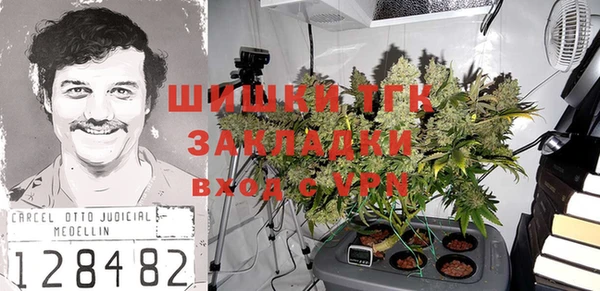 2c-b Тайга