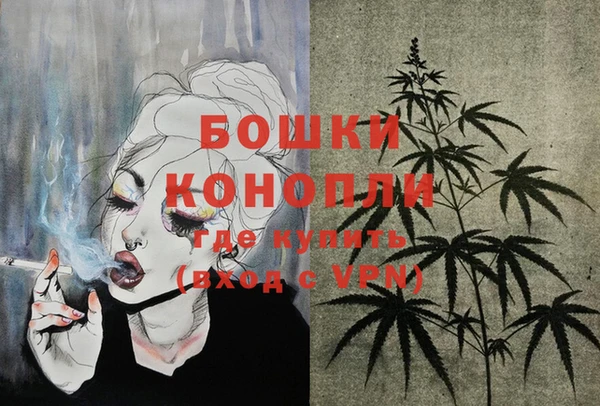 2c-b Тайга