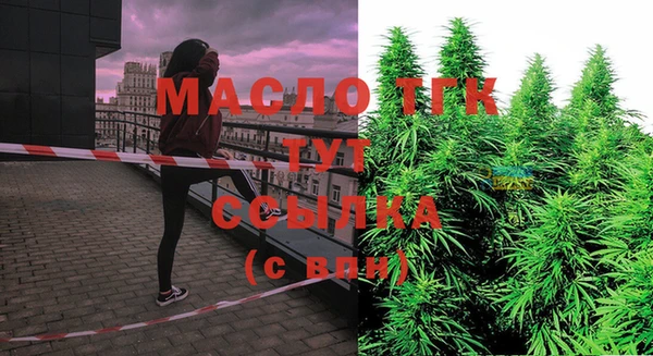 2c-b Тайга
