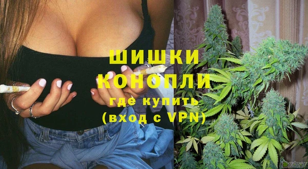 2c-b Тайга