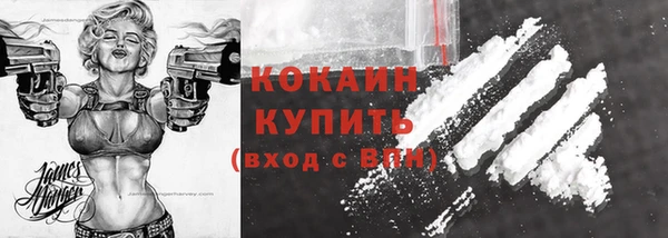 2c-b Тайга